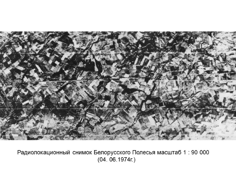 Радиолокационный снимок Белорусского Полесья масштаб 1 : 90 000     